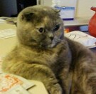 Missy