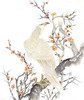 OrNelly